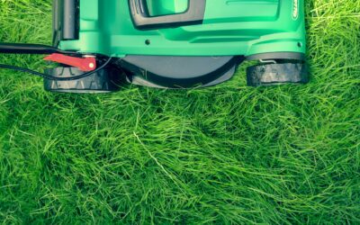 Mastering Yard Maintenance: 5 Essential Tips for Cutting Your Lawn, Provided by Safari Lawn