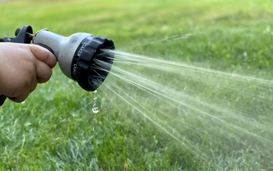 Thriving in the Summer Heat: Essential Watering Tips for a Lush Green Lawn, by Safari Lawn